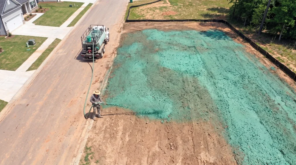 Turf Installation vs. Hydroseed: What Works in St. Pete