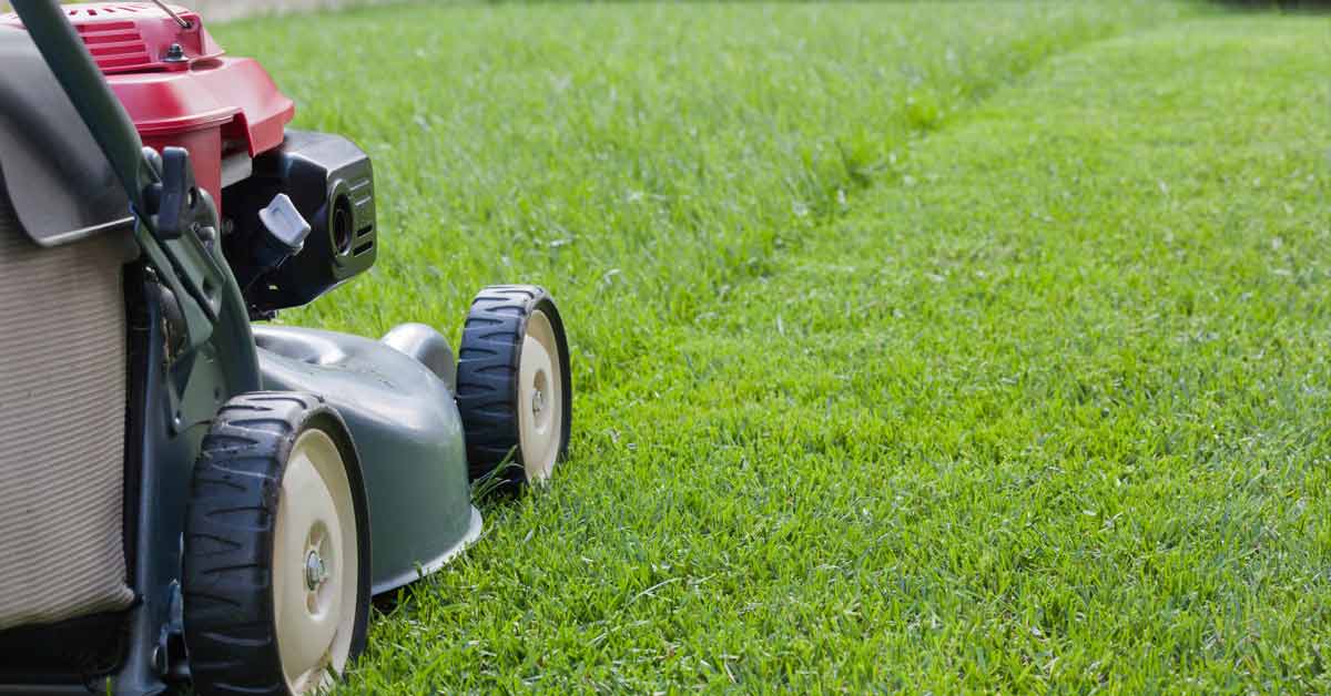 Residential lawn care services